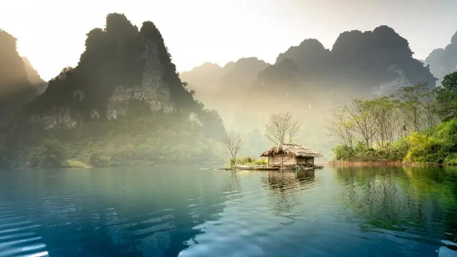 全自动高效